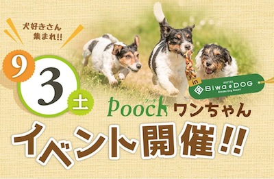 Poochイベント