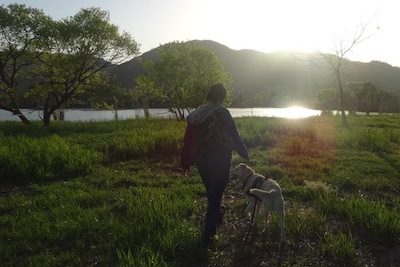 犬と散歩